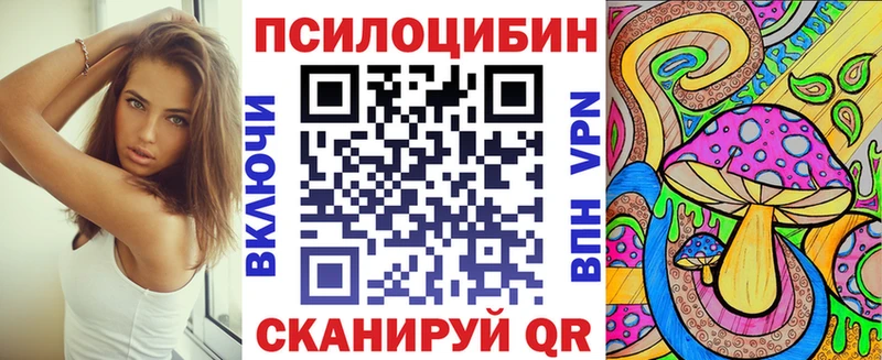 Псилоцибиновые грибы Psilocybe  Новоалтайск 